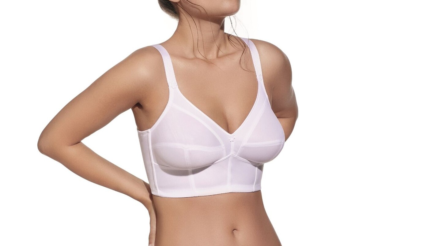 Medio cuerpo